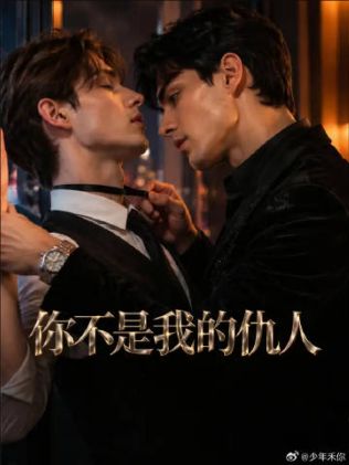 2026美剧《你不是我的仇人》全集1-33集高清在线观看_电视剧免费观看_美剧《你不是我的仇人》免费高清在线观看_欧美剧全集_VS影院-好看资源站